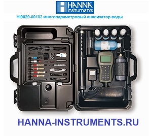 HI9829-00102 Hanna Instruments ���������� ����