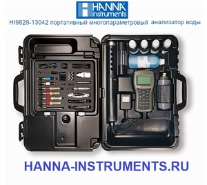 HI9829-13042 Hanna Instruments ���������� ����
